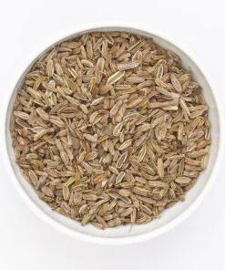 Wilder Fenchel